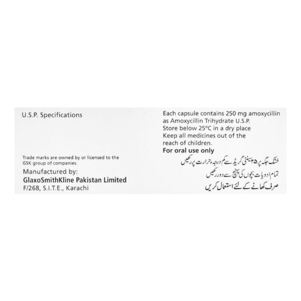 GSK Amoxil Capsules, 250mg, 1-Strip Back Box